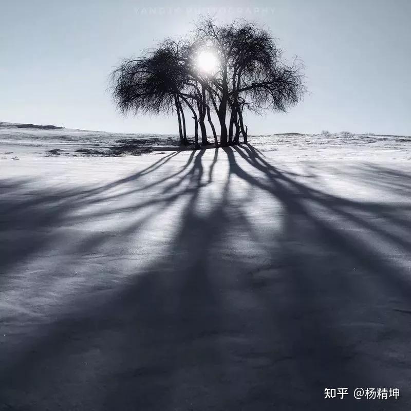 片刻艺讯光影赏析短场景构图